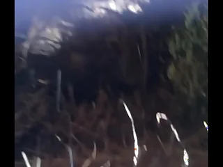 7871 big ass porn videos